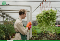 Chuỗi cung ứng nông sản sạch khép kín giúp nâng cao chất lượng từ trang trại đến bàn ăn