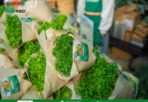 Truy xuất nguồn gốc nông sản bằng công nghệ giúp tăng niềm tin của người tiêu dùng