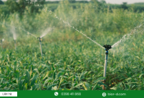 Nông nghiệp thuận thiên - Cách thích ứng thông minh với biến đổi khí hậu