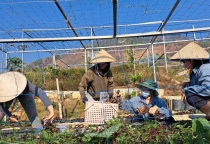 Chăm Sóc Sức Khỏe Toàn Diện Với Bio Relax - Giải Pháp Hiện Đại Cho Cuộc Sống Khỏe Mạnh