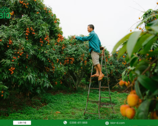 Tiêu chuẩn xây dựng vùng nguyên liệu nông sản sạch đạt chất lượng cao