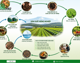Các mô hình nông nghiệp tuần hoàn giúp tối ưu chi phí sản xuất
