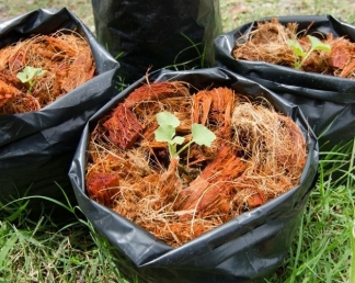 Cách Ủ Phân Hữu Cơ Tại Nhà: Đơn Giản, Tiết Kiệm, Cực Tốt Cho Cây Trồng