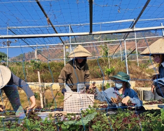 Chăm Sóc Sức Khỏe Toàn Diện Với Bio Relax - Giải Pháp Hiện Đại Cho Cuộc Sống Khỏe Mạnh