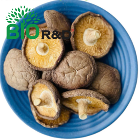 Chồi Nấm khô 