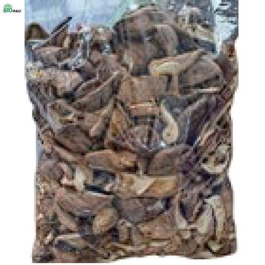 Nấm nở lớn khô