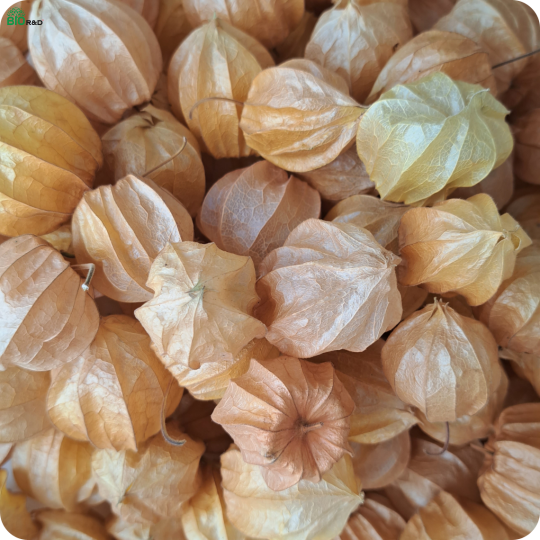 Chân Nấm Hương khô loại 2 cắt