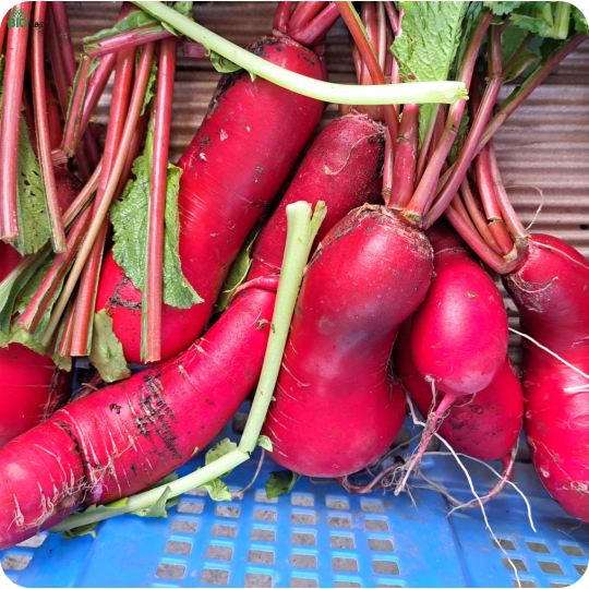 Chân Nấm Hương khô loại 2 cắt